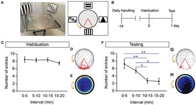 Protocol for Short- and Longer-term Spatial Learning and Memory in Mice